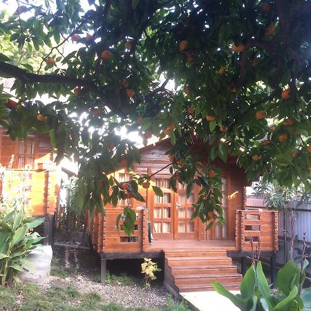 Cottage house New Athos Ngoại thất bức ảnh