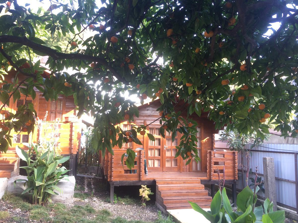 Cottage house New Athos Ngoại thất bức ảnh