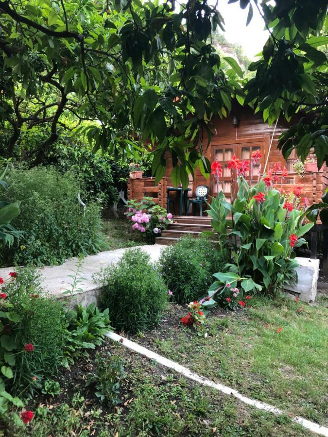 Cottage house New Athos Ngoại thất bức ảnh